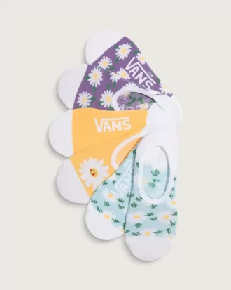 Lot de 3 paires de chaussettes imprimées Canoodle