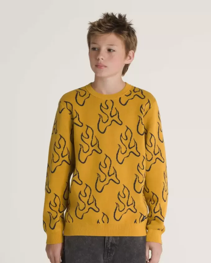 Pull ras du cou Blaze pour enfants